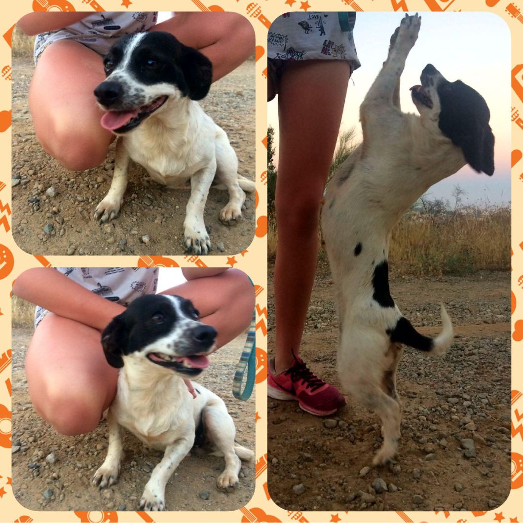 WhatsApp Image 2017-06-12 at 09.06.12 (1)