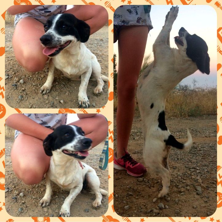 WhatsApp Image 2017-06-12 at 09.06.12 (1)