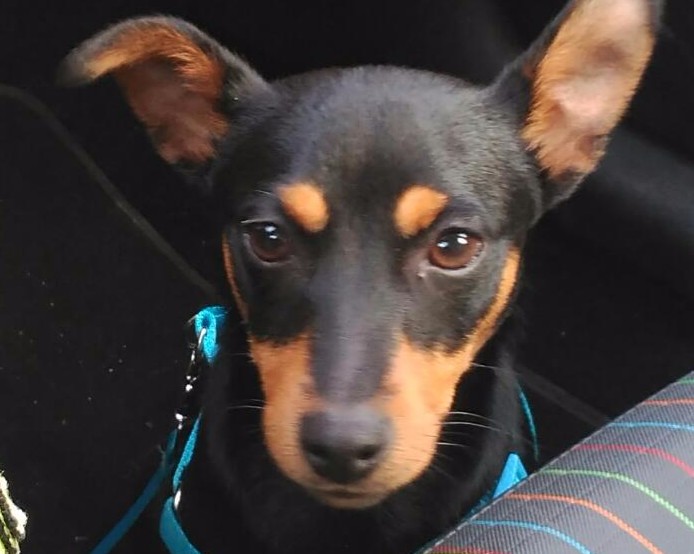 WhatsApp Image 2017-06-15 at 20.23.24